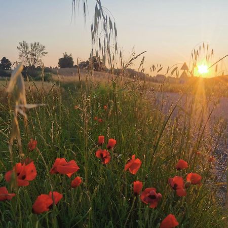 Bed and Breakfast Il Nido D'Amore - Lorenzana Colombaie Zewnętrze zdjęcie